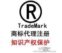 5G通信技术服务 开启万物互联的新纪元